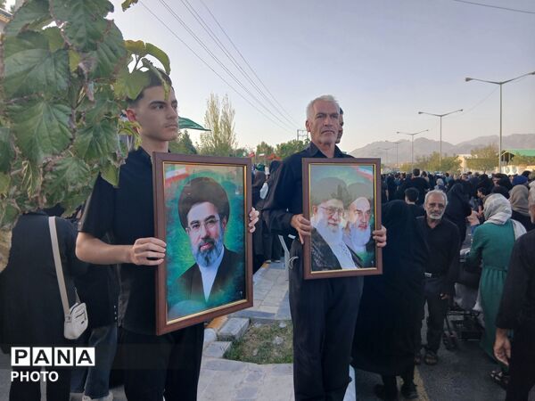 قدم هایی در راه سیدالشهدا