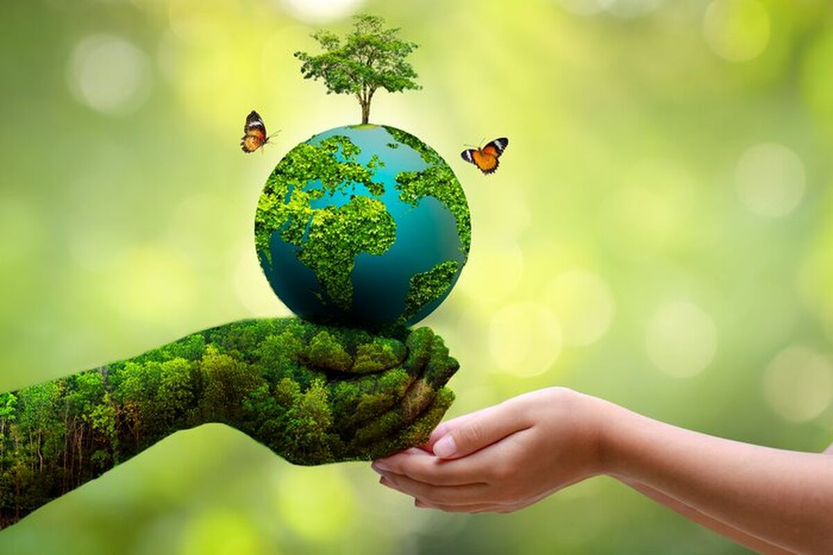 محیط زیست سالم رمز بقای انسان‌ها و جانداران است