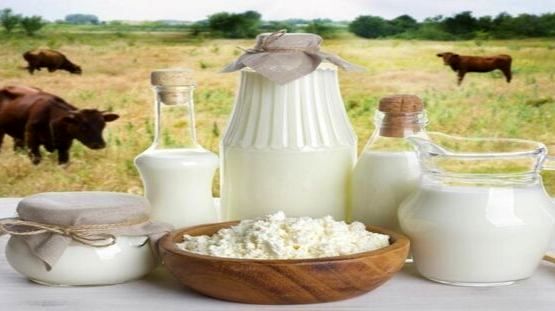 شبکه‌های اجتماعی دلال‌ها را از بازار سنتی محصولات دامی البرز حذف می‌کنند