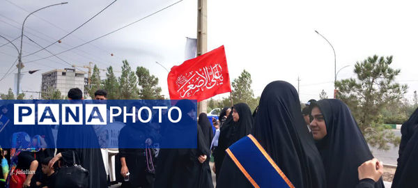 عزاداری سالروز شهادت هشتمین امام در قم