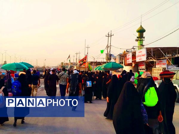 میلیون‌ها گام عاشقی؛ روایت حماسه اربعین حسینی از نجف تا کربلا