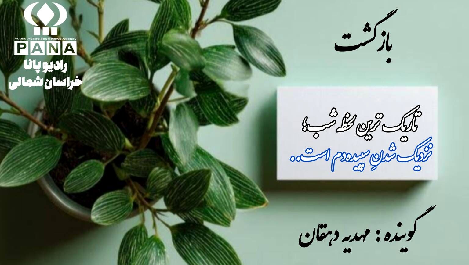 دوباره از نو: هنر برخاستن از میانِ خاکسترِ شکست‌ها