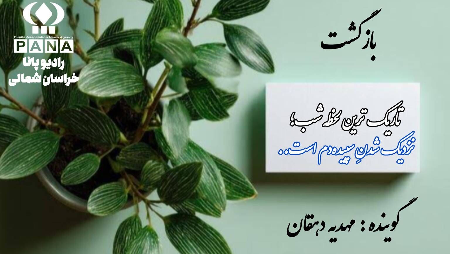 دوباره از نو: هنر برخاستن از میانِ خاکسترِ شکست‌ها