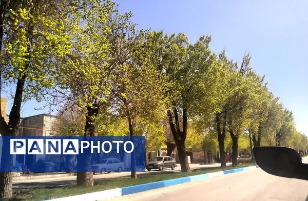 فصل بهار؛ آغاز پادشاهی سبزه و گل‌ها بر شهرستان بروجن