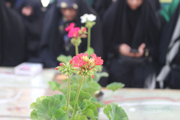 زمزمه عاشقانه دعای عرفه در یادمان 14 شهید گمنام کوه خضر نبی(ع)