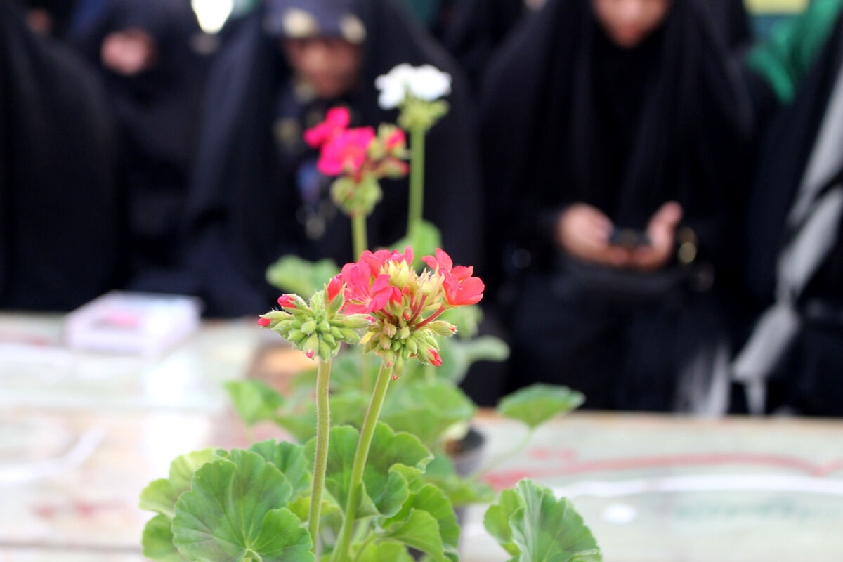 زمزمه عاشقانه دعای عرفه در یادمان 14 شهید گمنام کوه خضر نبی(ع)