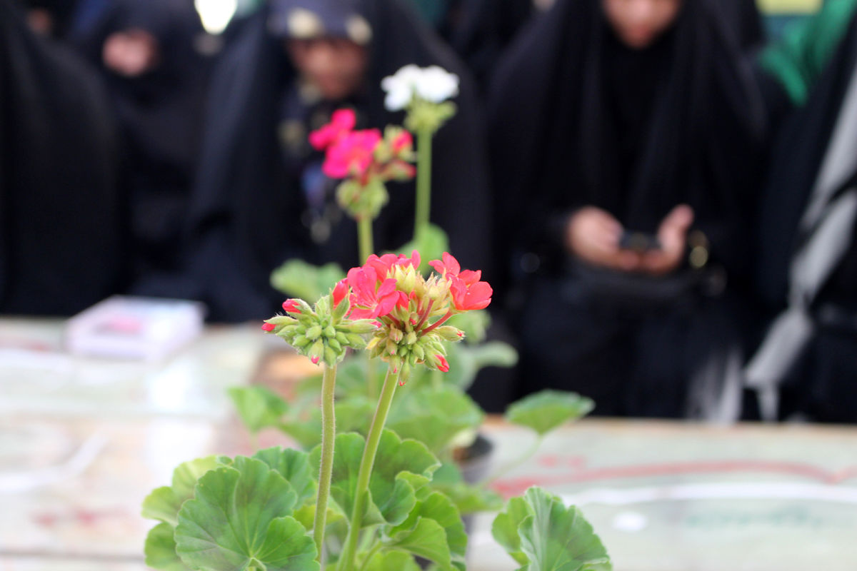 زمزمه عاشقانه دعای عرفه در یادمان 14 شهید گمنام کوه خضر نبی(ع)