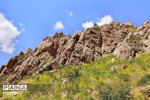 کوه های شهر بار ذخیره‌گاه گیاهان ارزشمند و کم نظیر دارویی 