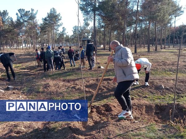 کاشت ۱۰۰۰ نهال به یاد شهدای مقاومت و شهدای مدافع حرم در بوستان جنگلی سرخه حصار