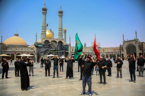 عزاداری سالروز شهادت امام حسن مجتبی(ع) در حرم حضرت معصومه(س)