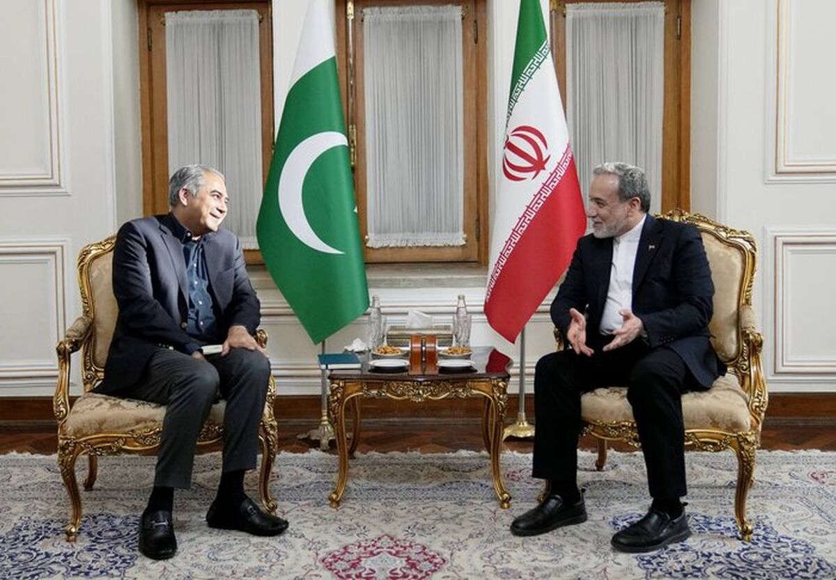 وزیر کشور پاکستان با عراقچی دیدار کرد