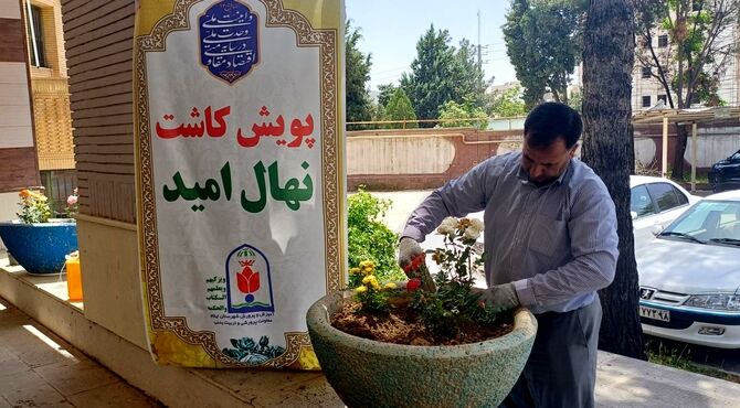 پویش کاشت نهال امید در آموزش و پرورش ایلام 