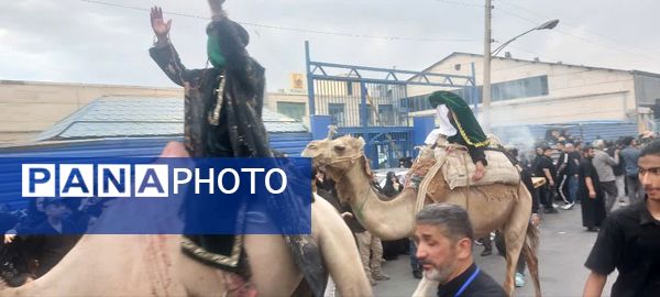 استقبال عزاداران حسینی از کاروان نمادین اسرای کربلا در قم