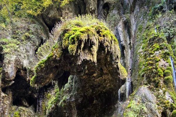 طبیعت بکر باران کوه استان گلستان