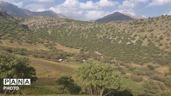 سمفونی رنگ‌ها در دامنه‌های گرین؛ سفری به دیار کهن الشتر