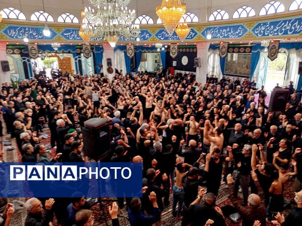 اولین روز حرکت هیأت های کاشمر 