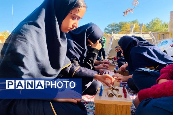 اردوی طرح تمشک در کرمان