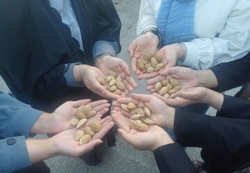 کارگاه بازی و مسابقه بادام در روستای جندابه