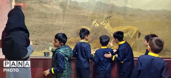 سفر علمی دانش‌آموزان سرخسی به قلب محیط‌زیست