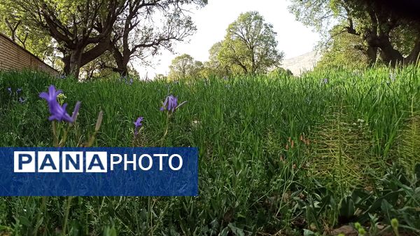 مسیر قارون تا قلعه مدرسه در واپسین لحظه‌های بهار