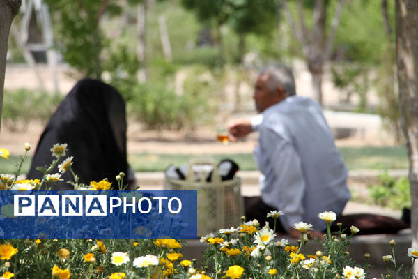 جلوه هایی از دورهمی روز طبیعت در بوستان‌های قم