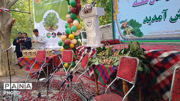 سلسله، میزبان جشنواره تخصصی گردو شد