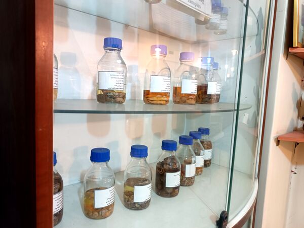 گام خبرنگاران در مسیر تنوع زیستی