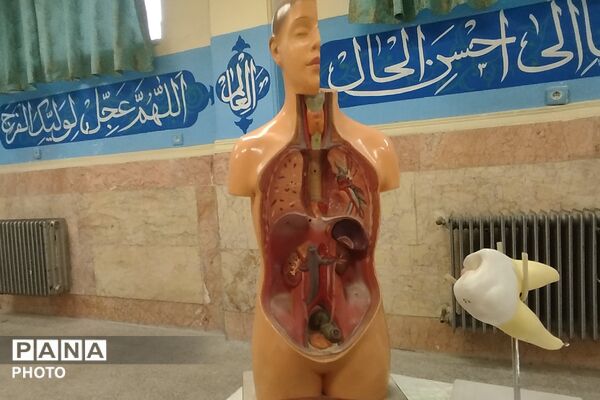 برگزاری مرحله استانی جشنواره خوارزمی در بهارستان‌‌دو
