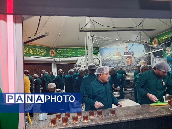 کبوتر حرم مشهد مقدس