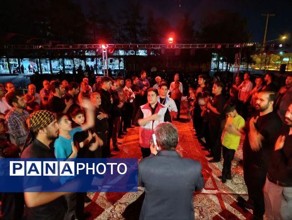 جوانان هلال احمر کاشمر در سوگ رقیه (س)
