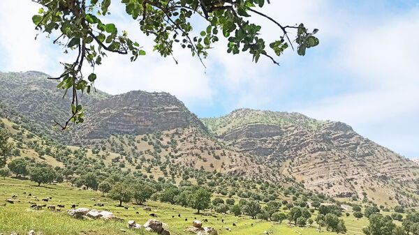 مسیر قارون تا قلعه مدرسه در واپسین لحظه‌های بهار
