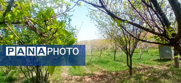 طبیعت بی نظیر روستا سربالا بهترین گزینه برای طبیعتگردی در فصل بهار