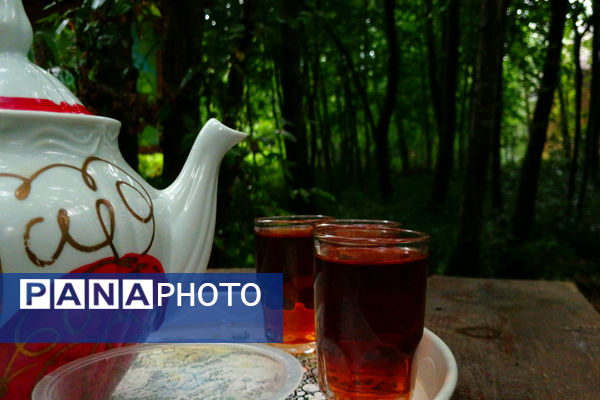 موزه میراث روستایی گیلان