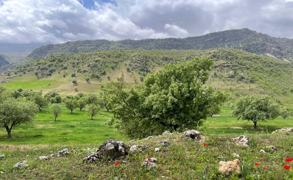 طبیعت روستای بارز، طبیعتی زیبا در دل استان چهارمحال‌وبختیاری 