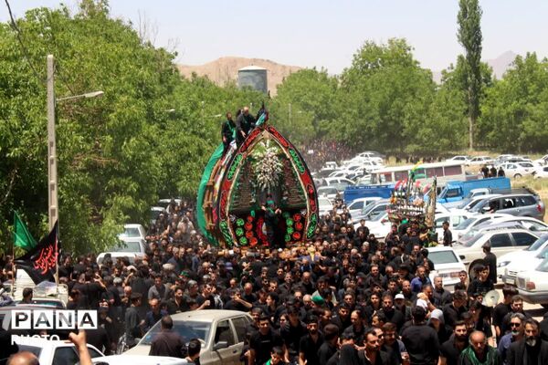 آیین نخلبرداری روز عاشورا در روستای علی آباد پیشکوه تفت