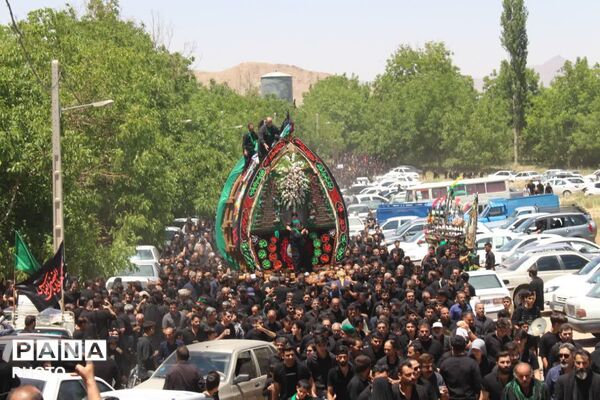 آیین نخلبرداری روز عاشورا در روستای علی آباد پیشکوه تفت