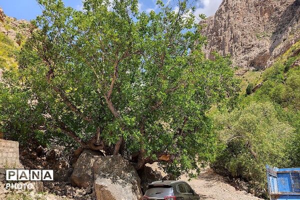 آبشار بار، نغمه‌ای از آب در دل طبیعت