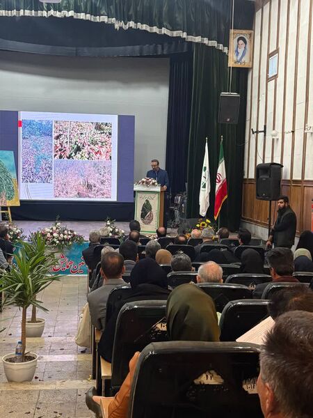 برگزاری نخستین همایش ملی سرو ابرکوه 