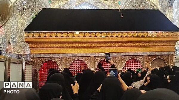 از نجف تا کربلا؛ روایت شهری که عشق را معنا می‌کند