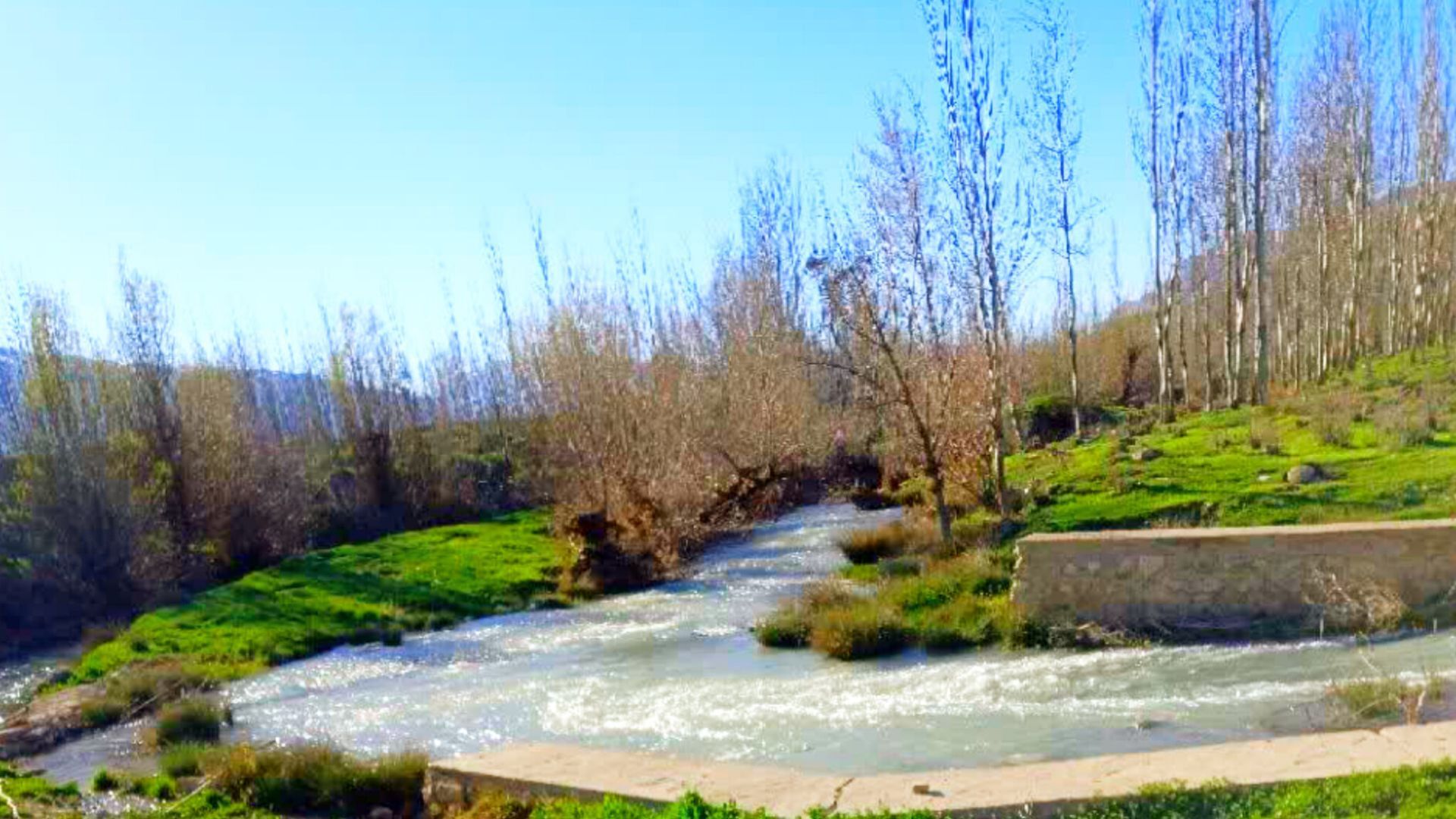 طبیعت دَستَنا؛ جلوه‌ای کم‌نظیر از آرامش و زیبایی در دل چهارمحال و بختیاری