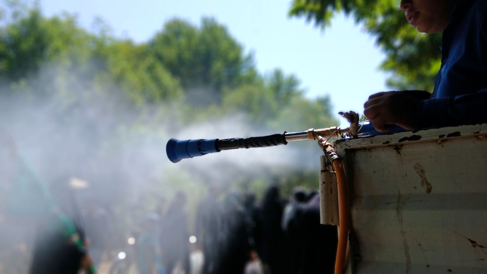 گزارشی از جاماندگان مسیر عشق