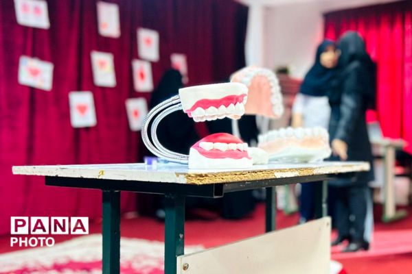 دوره آموزشی آموزگاران پایه مدارس ابتدایی منطقه پردیس