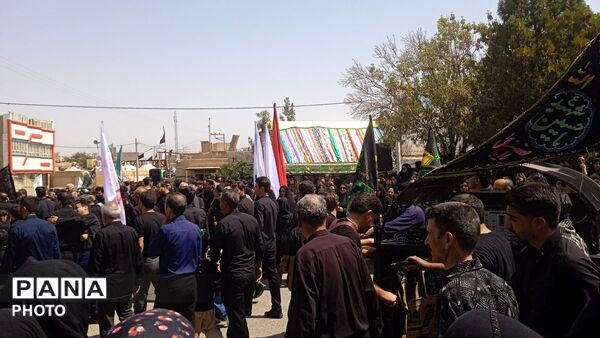 نخل گردانی در روستای فدافن،تاسوعایی به یادگار از کربلا 