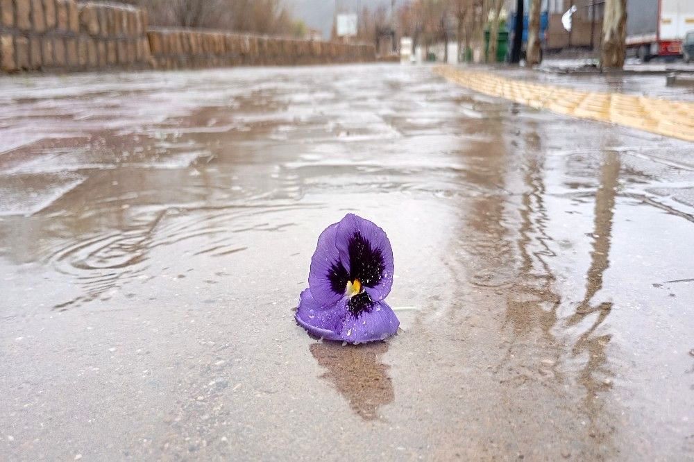 بارش شدید  باران بهاری و اب گرفتگی معابر شهر بار