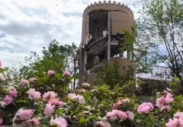 غرس ۳۱۳ نهال امید به مناسبت ولادت حضرت معصومه (س) در فرهنگسرای ولا شهرری 