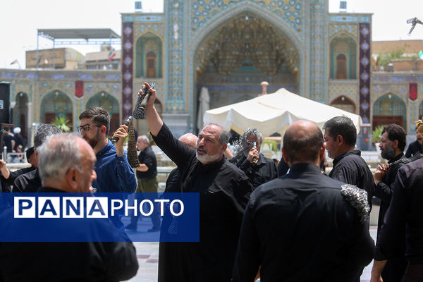 عزاداری شهادت دختر سه ساله امام حسین(ع) در قم